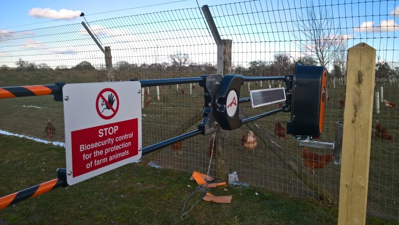 Biosecurity Barrier for Poultry or Pig production units