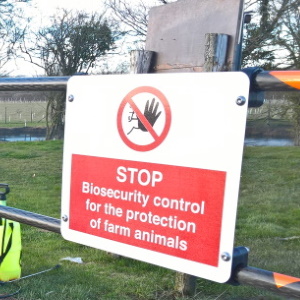 Biosecurity with Dofygate